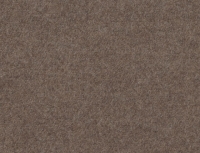 Licht bruin TA05
