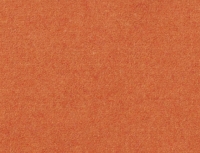 Oranje TB16