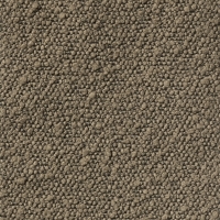 T04 Bruin