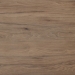 Noten hickory