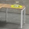 Aanbouwtafel 4Q 800 x 600  1279