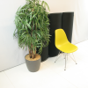 Vitra Eames DSR Plastic Chair Musterd 58184