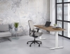 Zit/sta enkel Premium elektrisch 160x80 cm 64298