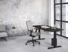 Zit/sta enkel Premium elektrisch 160x80 cm 64300