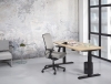 Zit/sta enkel Premium elektrisch 160x80 cm 64238