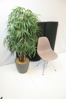 Vitra Eames DSR Plastic Chair Kiezelsteen