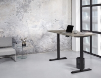 Zit/sta enkel Premium elektrisch 160x80 cm