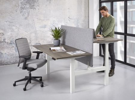 Zit/sta duo Business elektrisch 2 x (140x80 cm)