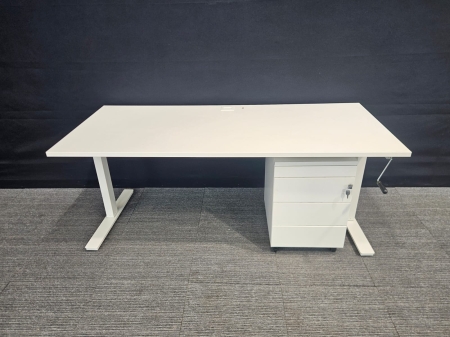 Slinger verstelbaar zit/sta bureau Ergonice