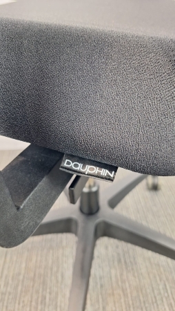 Ergonomische bureaustoel Dauphin