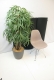 Vitra Eames DSR Plastic Chair Kiezelsteen