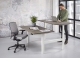  Zit/sta duo Business elektrisch 2 x (120x80 cm)